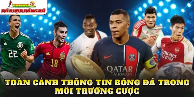 Toàn cảnh thông tin bóng đá trong môi trường cược