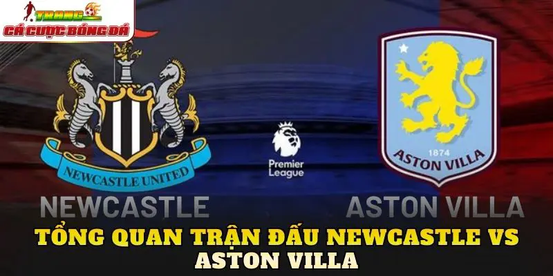 Tổng quan trận đấu Newcastle vs Aston Villa