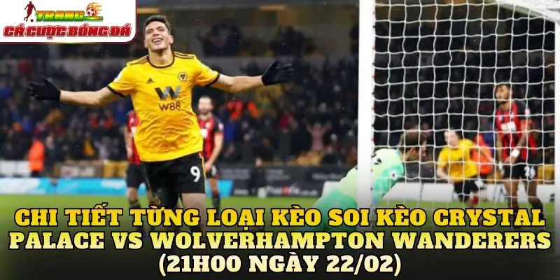 Chi tiết từng loại kèo soi kèo Crystal Palace vs Wolverhampton Wanderers (21h00 ngày 22/02)