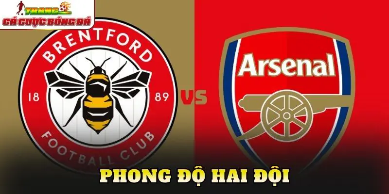 Phong độ hai đội