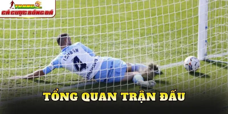 Tổng quan trận đấu