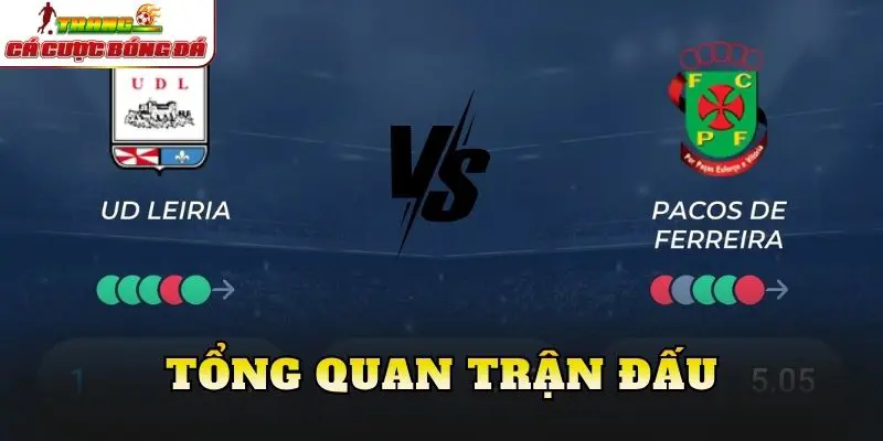 Tổng quan trận đấu