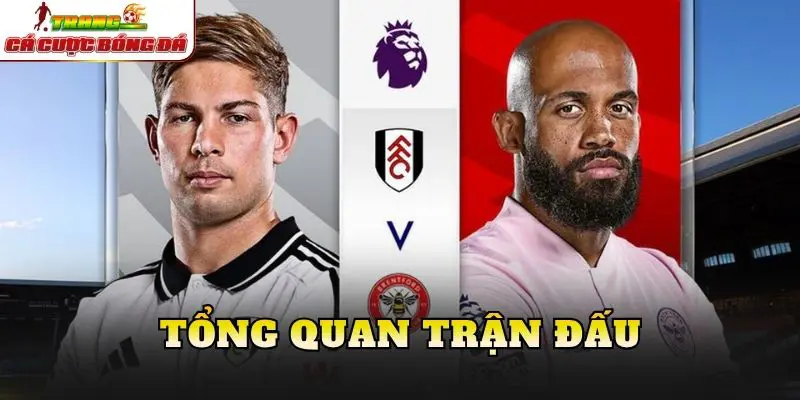 Tổng quan trận đấu