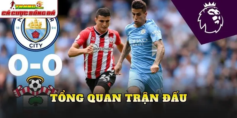 Tổng quan trận đấu
