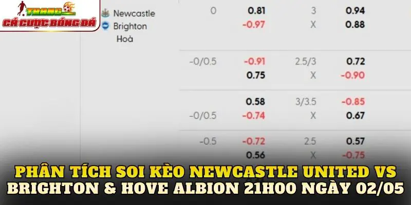 Phân tích soi kèo Newcastle United vs Brighton & Hove Albion 21h00 ngày 02/05
