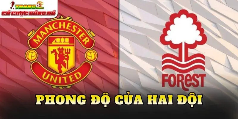 Phong độ của hai đội