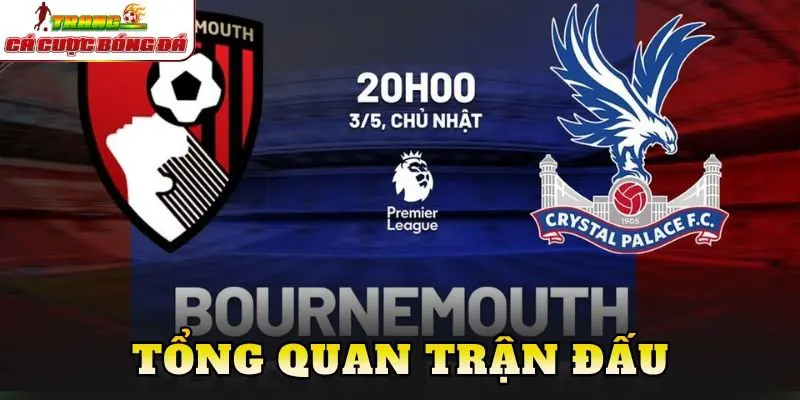 Tổng quan trận đấu