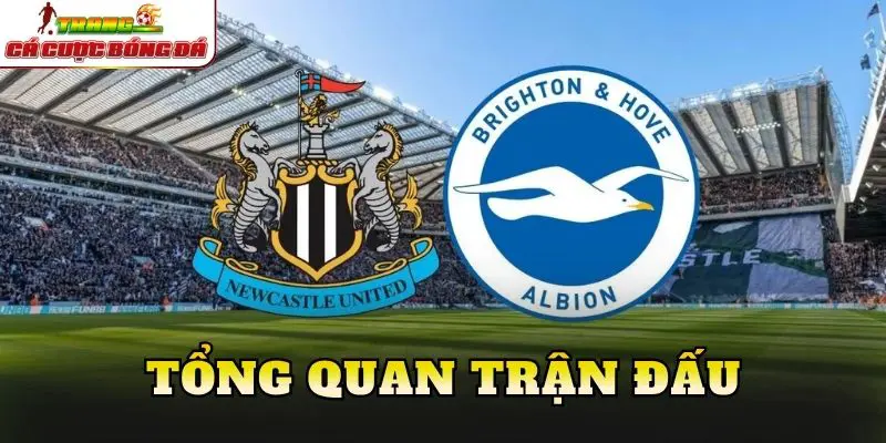 Tổng quan trận đấu